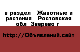  в раздел : Животные и растения . Ростовская обл.,Зверево г.